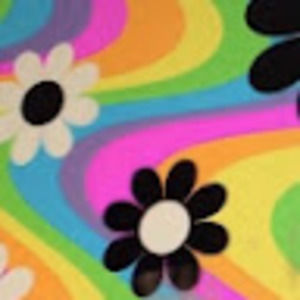 Meet your Posher, Stella